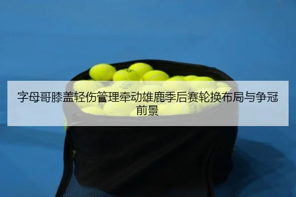 字母哥膝盖轻伤管理牵动雄鹿季后赛轮换布局与争冠前景